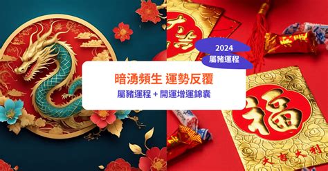 2024年屬豬運程|屬豬2024運勢丨屬豬增運顏色、開運飾物、犯太歲化解、年份